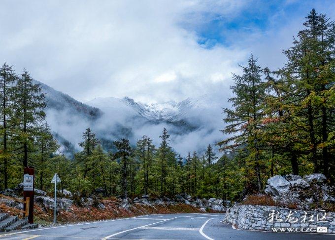麦克斯：兄弟魔咒