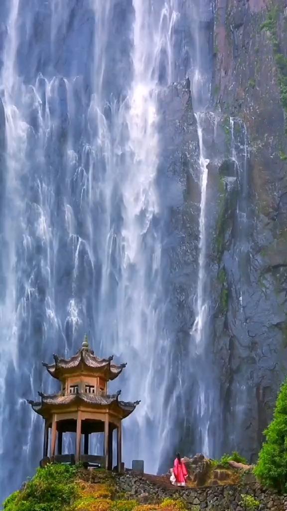 拯救卡通獾
